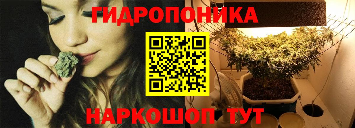 Марихуана White Widow  Марихуана гибрид  Вход с VPN  Бошки Шишки LSD WEED  Кунгур 